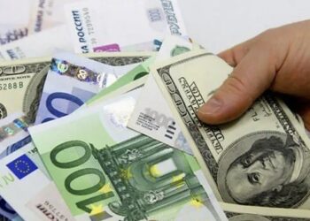 Depozito Döviz Olarak Alınabilir mi? Kiraya Sayılabilir mi?