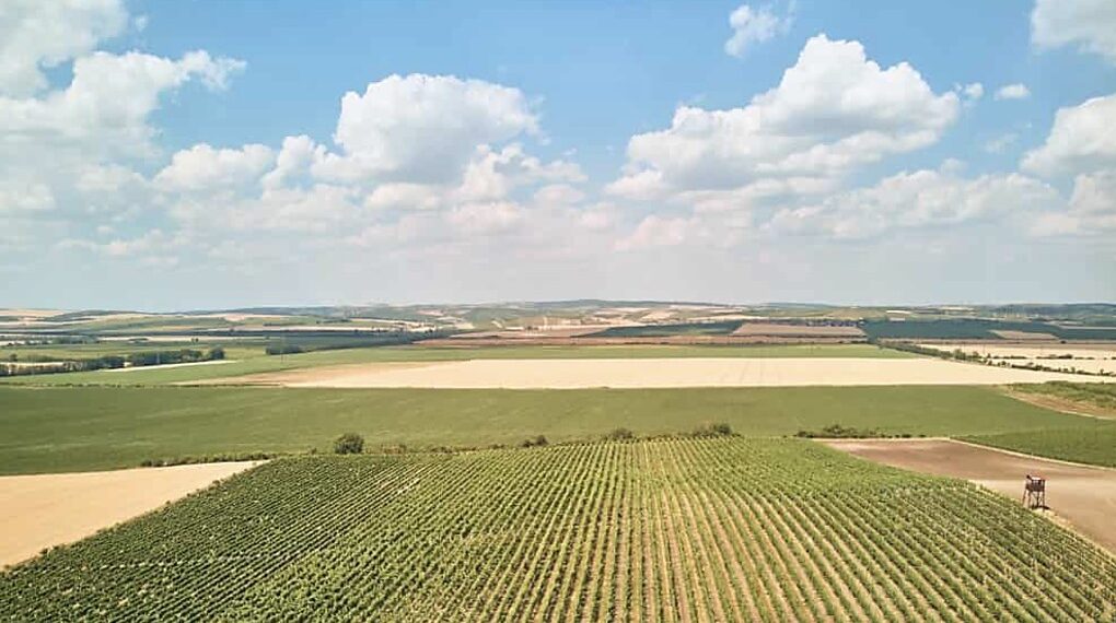 Konutta-dengelenme-arazide-hareket-yatirimci-neden-topraga-yoneliyor