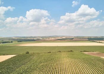 Konutta-dengelenme-arazide-hareket-yatirimci-neden-topraga-yoneliyor